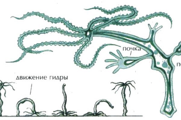 Kraken зеркало рабочее